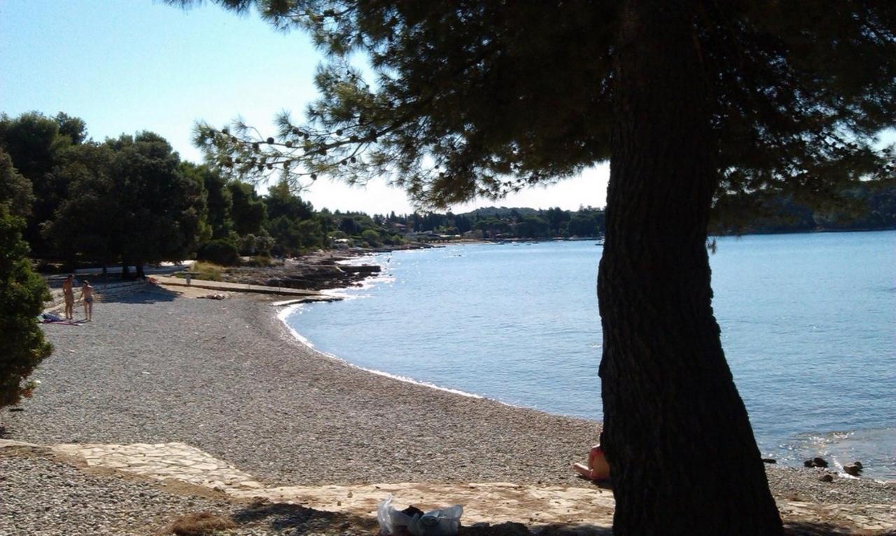 Studio Green Garden Borik Rovinj Dış mekan fotoğraf